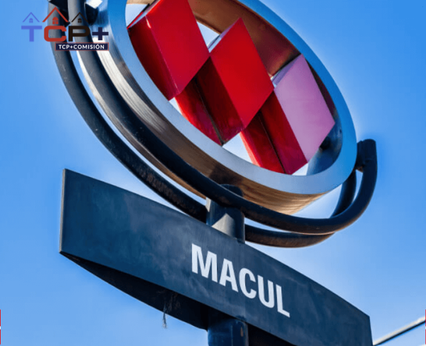 8) Estacion del Metro Macul
