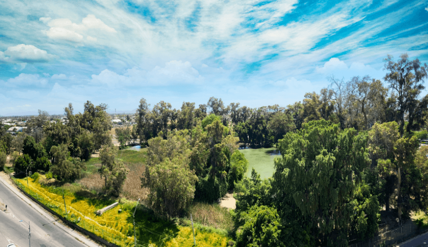 Parque